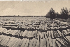 11060029_10152835106998161_5648743171870575175_o