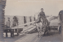 Cadillac-Lumber-Child-Laborer-on-White-Mule-Cadillac-Mi-1911