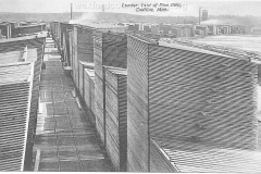 Cummer Diggins Lumber Stacks