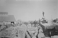 Cadillac-Lumber-Large-logs-await-processing