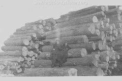 Cadillac-Lumber-Logs-Ready-For-Processing