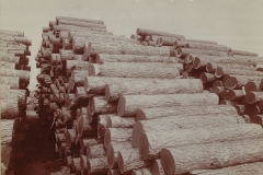 Cadillac-Lumber-Pile-Of-Logs-3