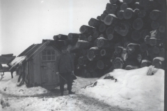 Cadillac-Lumber-Pile-Of-Logs-With-Man-And-Measuring-Stick