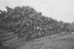 Cadillac-Lumber-Pile-Of-Logs