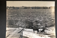 Cadillac-Lumber-Wood-Yard-At-Cadillac-Chemical-Company-Plant-Number-One-c