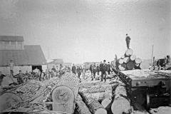 Large Logs Await Processing