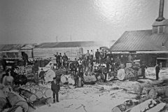 Mill Yard Operations