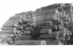 Logs Ready for Processing