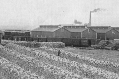 Williams Brothers Company Storage Sheds