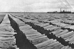 Cobbs and Mitchell Mill