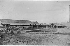 Timber Processing Mill