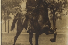 The Nameless Horseman