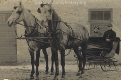 Men In Sled With A Horse Team
