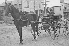 Horse And Small Carriage
