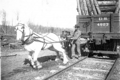 Horse Power