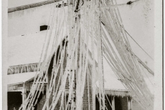 1922 Ice Storm - Prospect Street