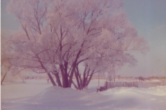 Cadillac-Weather-Winter-Scene-11