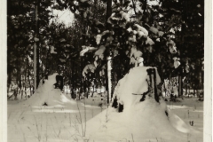 Cadillac-Weather-Winter-Scene-13