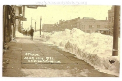 Cadilllac-Weather-1931-Storm
