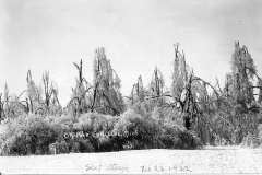 1922 Ice Storm - City Park at Lake Street