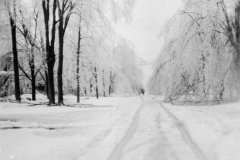 1922 Ice Storm - Cass Street