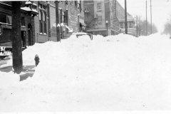 1931
