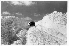 Snow on a Rural Road