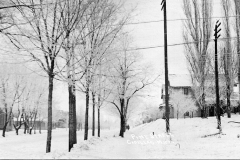 Winter Day on Pine Street