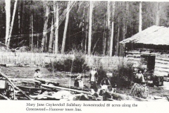 Wexford-County-Greenwood-early-settler-homestead-activity-Mary-Jane-Coykendall-Salisbury-cap