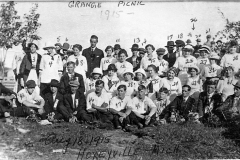Herby Coll. Hoxeyville Grange Picnic