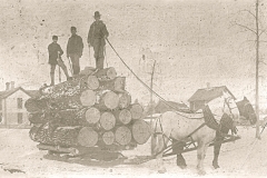 Harrietta Logging Activity