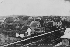 Mesick Street Scene