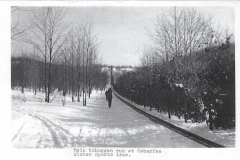 Caberfae
